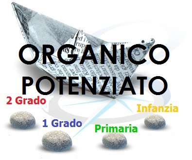 Orizzonte scuola forum fase c