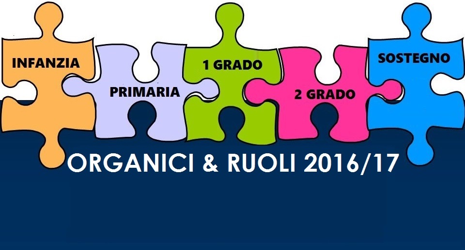 puzzle-ORGANICI-RUOLI16-17a