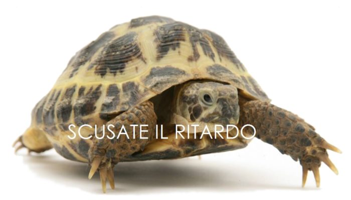 tartaruga-ritardo12
