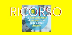 Ricorso per la carta del docente ai colleghi precari